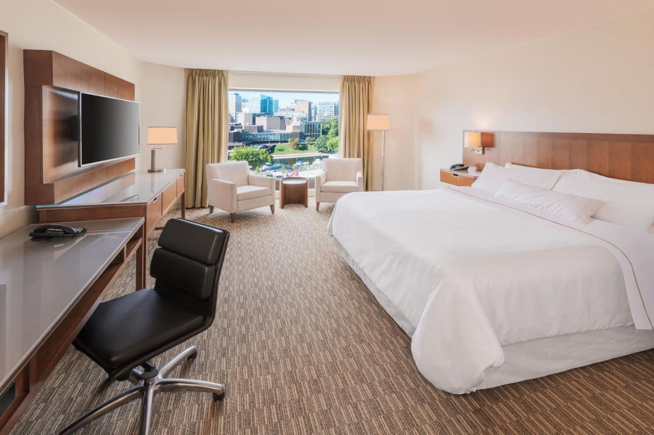 Traditional, Guest room, 1 King,1163224323:JPEG