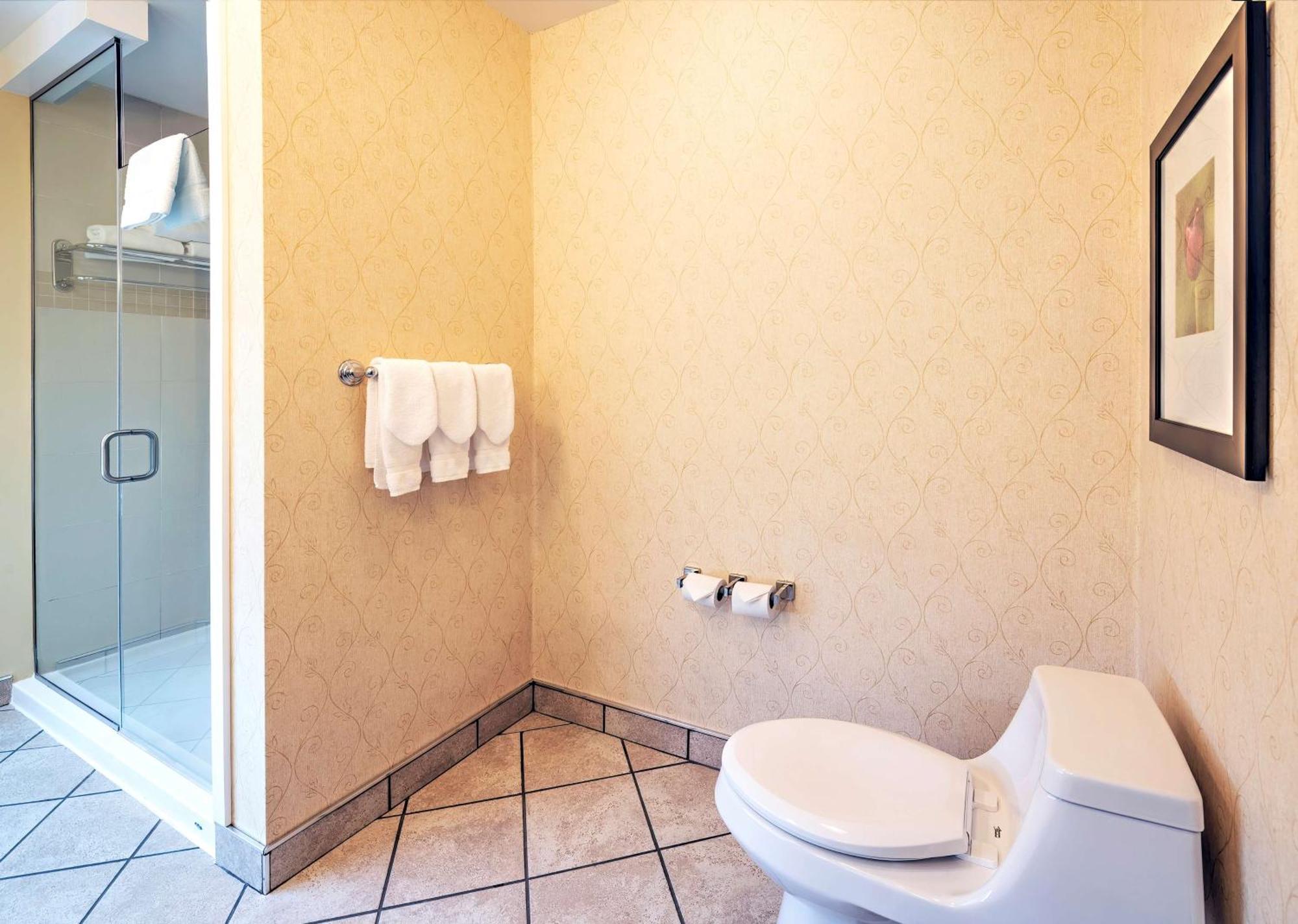 Standard King Room Walk Shower