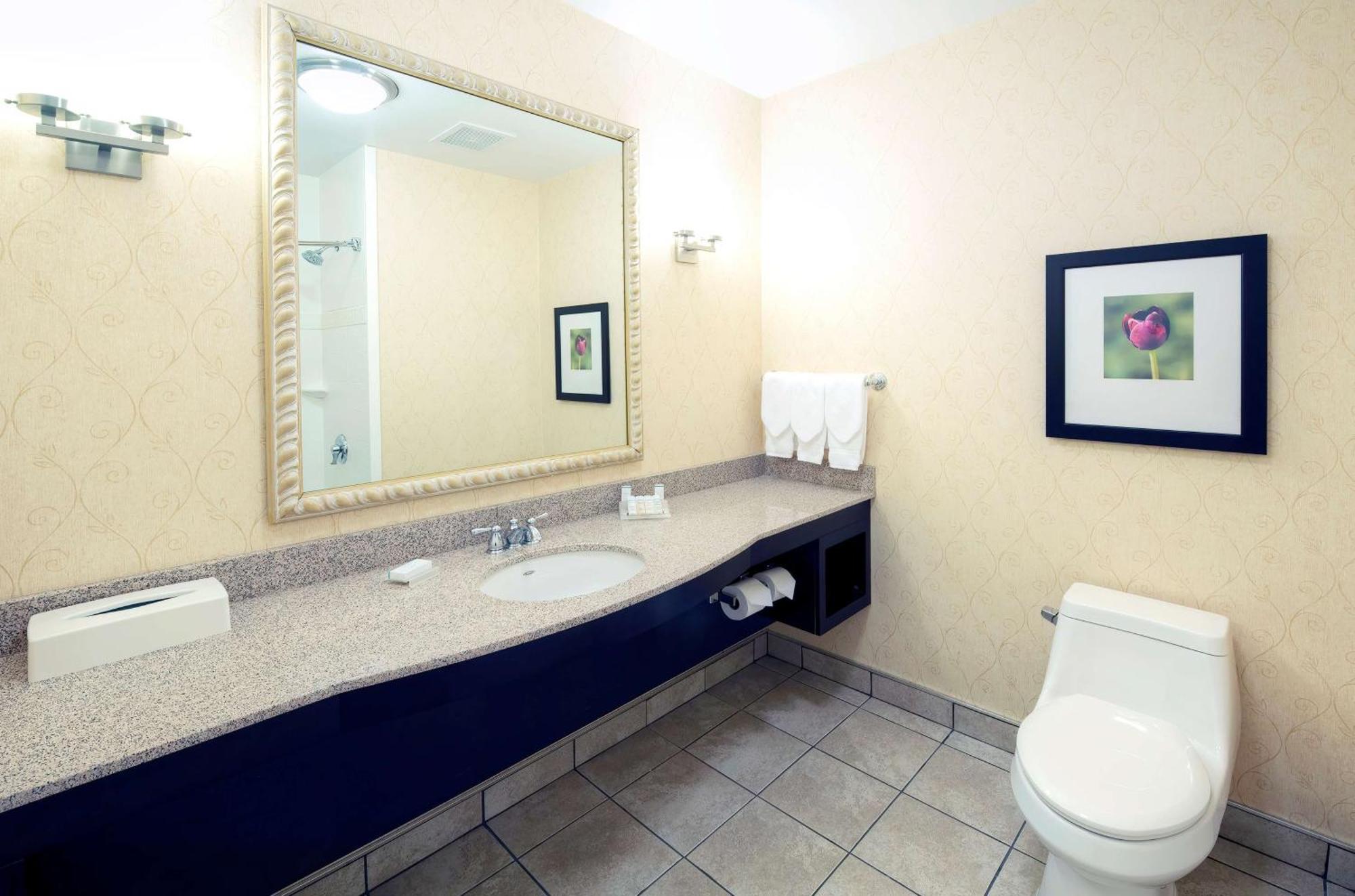 Standard King Room Bathtub
