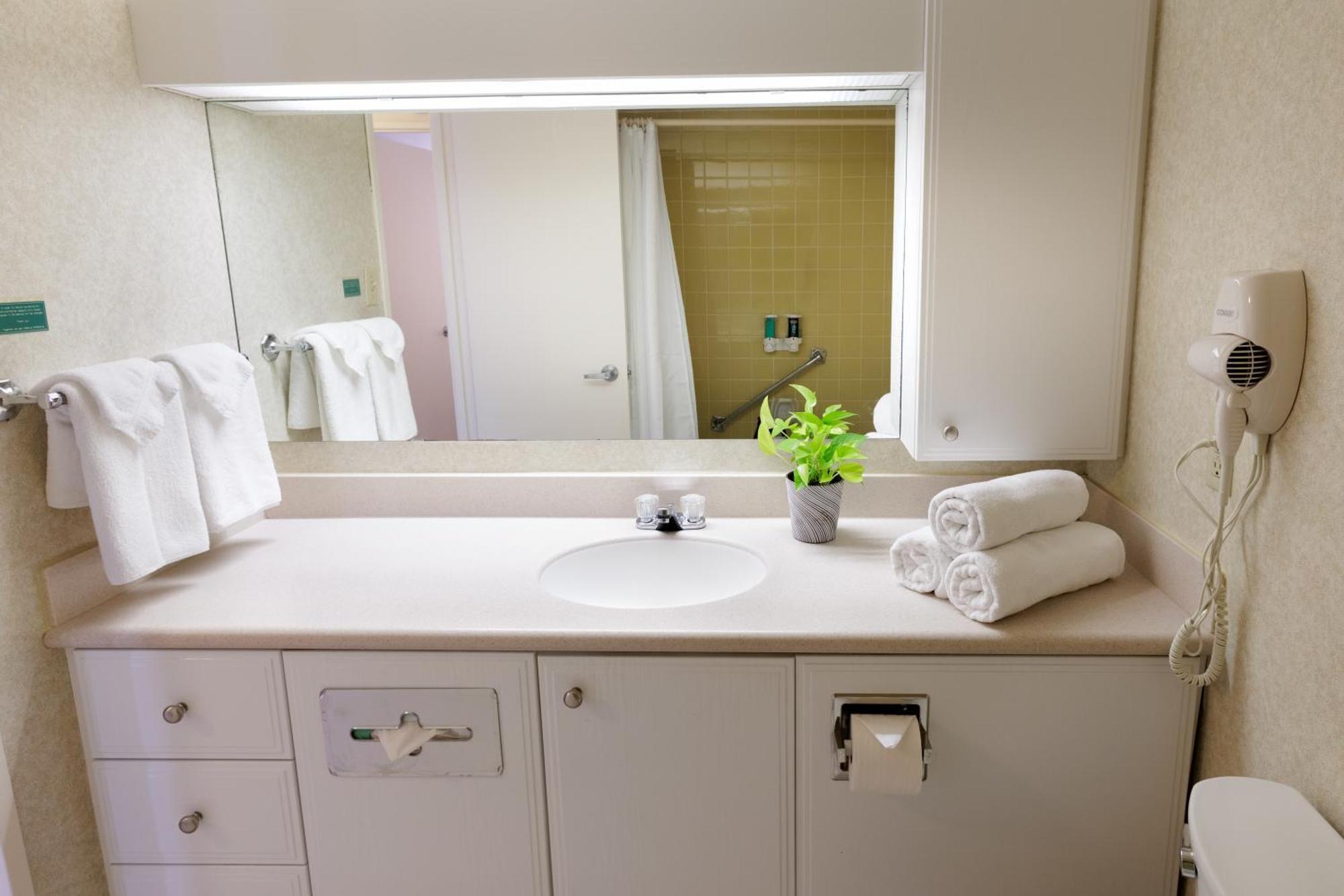 Standard One Bedroom Suite